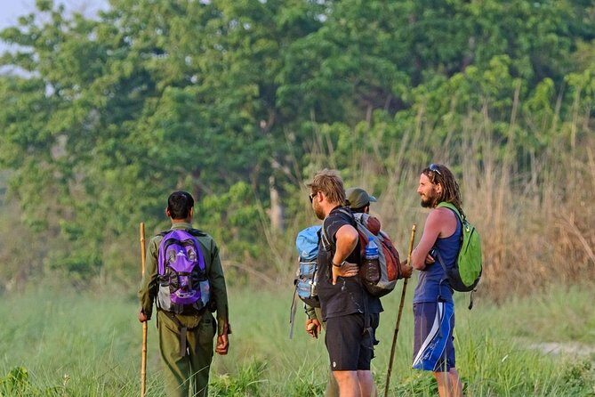 3-Day Chitwan Jungle Safari from Kathmandu  All-Inclusive Tour - The Heart of the Tour: What You’ll Experience