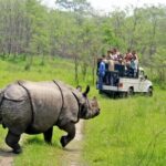 3 Day Chitwan National Park, Jungle Safari Package all Inclusive - Day 1: Into the Jungle