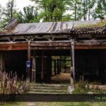 3-Day Horse Trekking Tour in Mongolia  Terelj National Park - Final Thoughts: Who Will Love This Tour?