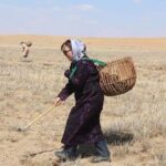 3 Day Nomadic Real Life Experience - The Itinerary in Detail