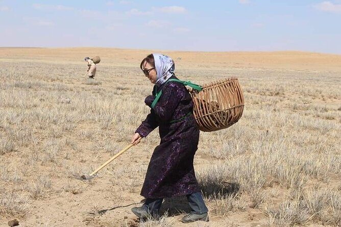 3 Day Nomadic Real Life Experience - The Itinerary in Detail