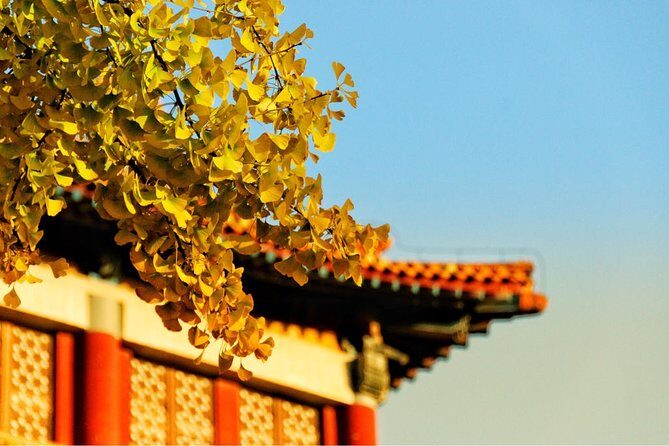 3-Day Private Beijing Highlights Tour from Shanghai by Bullet Train - What Sets This Tour Apart