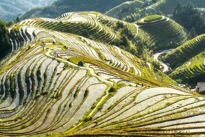 3-Day Private Guilin Highlights Tour from Guangzhou by Bullet Train - Practical Considerations and Value