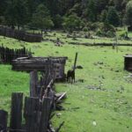 3-Day Private Hike from Haba Village to Tiger Leaping Gorge - Transportation, Timing, and Group Dynamics