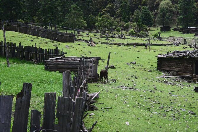 3-Day Private Hike from Haba Village to Tiger Leaping Gorge - Transportation, Timing, and Group Dynamics