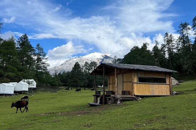 3-Day Private Hike from Haba Village to Tiger Leaping Gorge - Transportation, Timing, and Practicalities