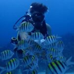 3-Day Scuba Diving Certification Course in Ocho Rios - What to Expect from the 3-Day Course