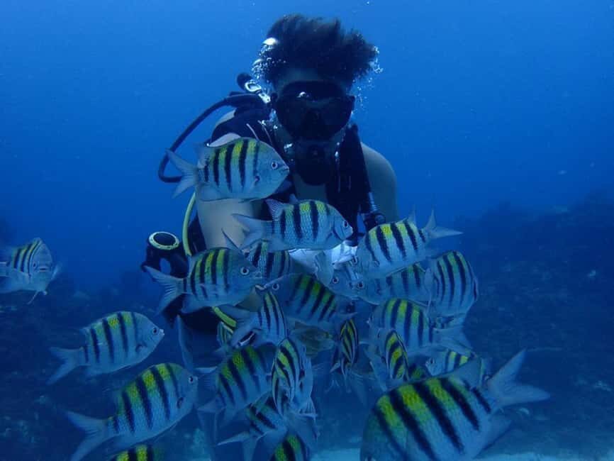 3-Day Scuba Diving Certification Course in Ocho Rios - What to Expect from the 3-Day Course