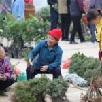 3-Day Tour in Jinping to visit the countryside fair near Guilin - What Do Travelers Say?