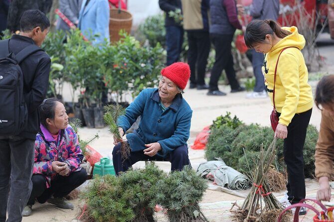 3-Day Tour in Jinping to visit the countryside fair near Guilin - What Do Travelers Say?