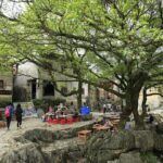 3-Day Trip to Hezhou and Huangyao in Guangxi by Bullet Train from Hong Kong - The Transportation and Accommodation Experience