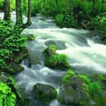 3-Day Zhangjiajie Mini Group Trip with Adventure Explorers - The Details of the 3-Day Zhangjiajie Adventure