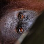 3 Days 2 Nights Ethical Jungle Trekking - Whats Included and Whats Not