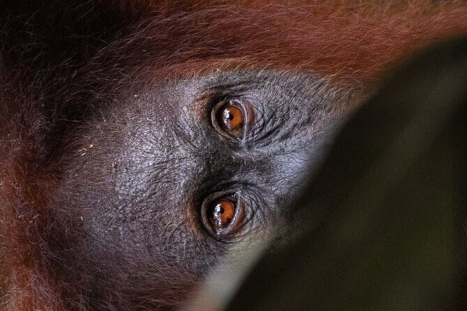 3 Days 2 Nights Ethical Jungle Trekking - Whats Included and Whats Not