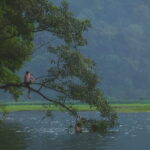 3 Days 2 Nights of Natural Wonder Explore Ba Be National Park. - What Makes This Tour Stand Out?