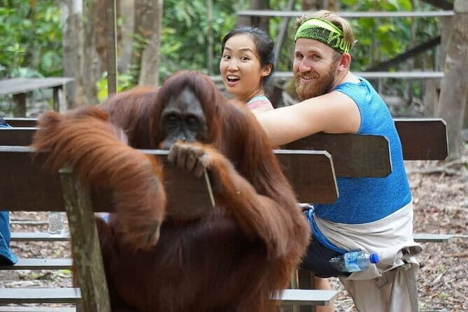 3 Days 2 Nights Wildlife Tanjung Puting - Potential Drawbacks