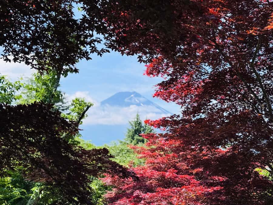3 Days Japan Tour Package With English Speaking Driver - Scenic Day Trip to Mount Fuji