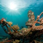 3 Days PADI Open Water Course in Pemuteran - What You Can Expect from This Course