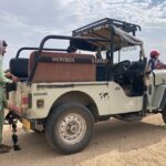3 Days Tour in Wild Desert Safari - Day 2: Activities and Exploration Options
