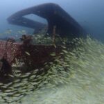 3 Fun Dives for Certified diver at Racha Yai/Noi - Why Choose This Tour? Key Benefits