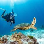 3 Fun Dives in Phi Phi islands for Certified Divers - Practical Details & Tips