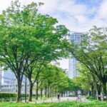 3-hour electric bicycle tour of Tokyo's famous sights - Why Choose a 3-Hour Electric Bicycle Tour in Tokyo?