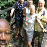 3 Hours Rainforest Group Walk with Lunch - Who Will Love This Tour?