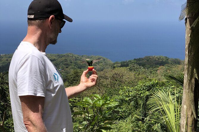 3 Hours Rainforest Walk in Tobago (Private) Lunch + Hummingbirds - The Itinerary Breakdown: What You Can Expect