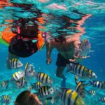 3-Island Snorkeling Trip with Sea Turtles & Statues - What To Expect on the Tour