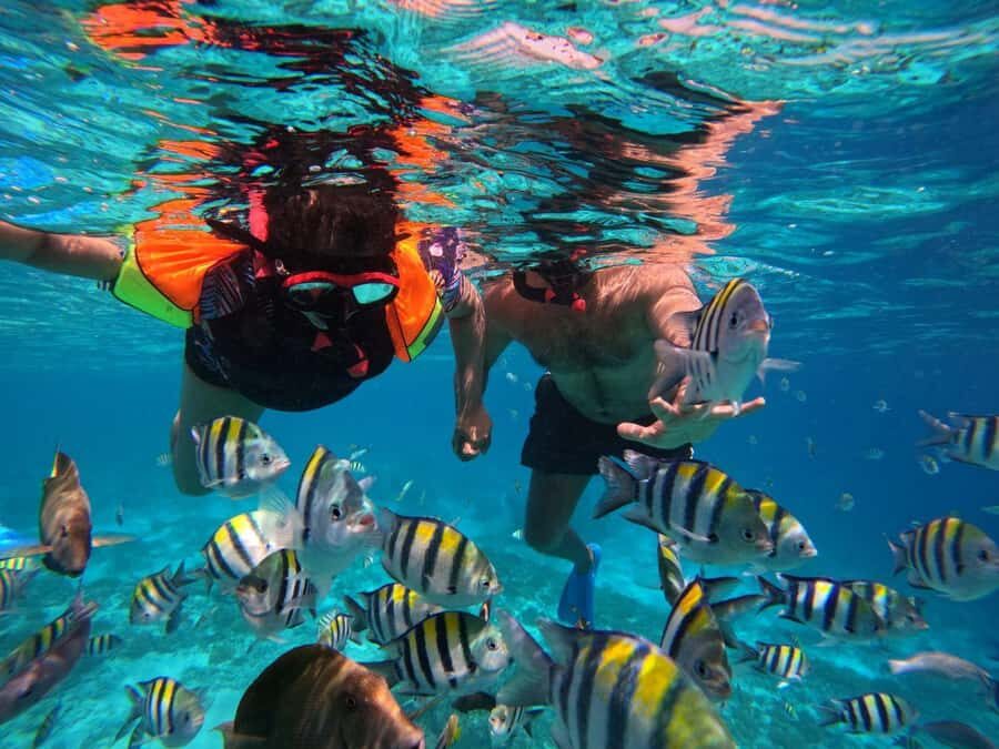 3-Island Snorkeling Trip with Sea Turtles & Statues - What To Expect on the Tour