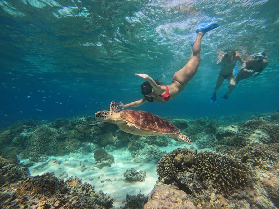 3 Islands Snorkeling with Glass Bottom Boat & GOPRO SHOOT - The Itinerary: What Makes Each Stop Special