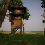 3 Nights 4 Days: Chitwan National Park with Tower Night Stay - Exploring the Itinerary in Detail