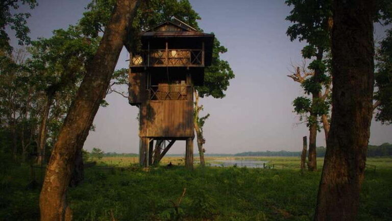 3 Nights 4 Days: Chitwan National Park with Tower Night Stay - Exploring the Itinerary in Detail