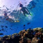 3 Semporna Islands Tour with Snorkel or Diving Experience - Who Would Love This Tour?