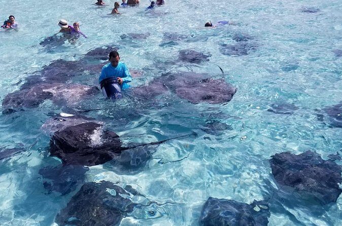 3 Stop Boat Tour Stingray City Coral Gardens and Starfish Point - What’s Included and What’s Not