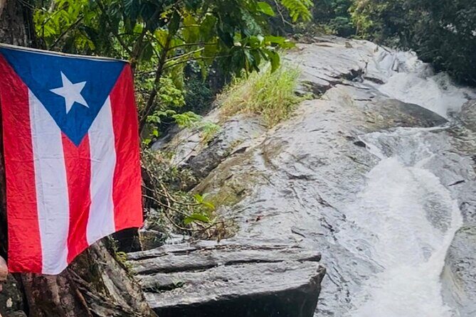 3 Tours in 1 Day: Old San Juan, Rainforest, Beach with Transport - Full Breakdown of the Tour Experience