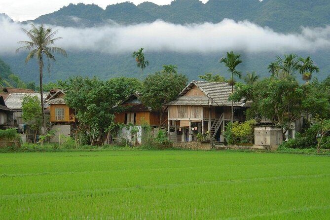 3D2N Mai Chau Pu Luong Hidden Gems of Northern Vietnam - In-Depth: What to Expect on This 3-Day Journey