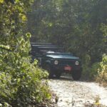 3Nights 4Days Bardiya Tiger Tracking Tour on Foot - All Inclusive - Why We Love This Tour