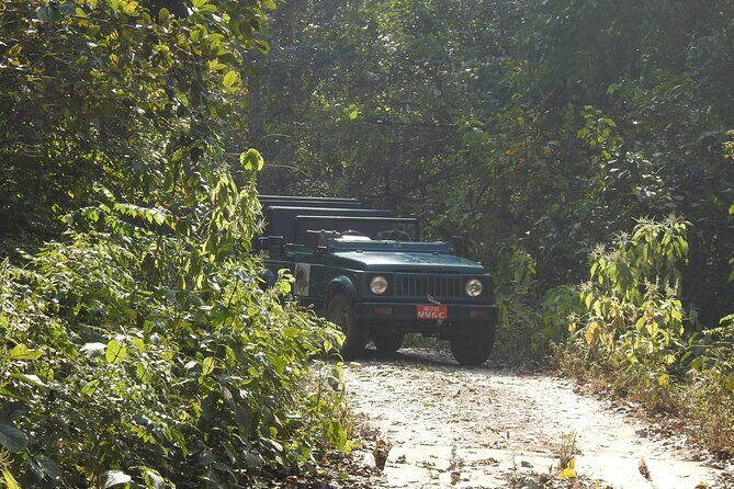 3Nights 4Days Bardiya Tiger Tracking Tour on Foot - All Inclusive - Why We Love This Tour