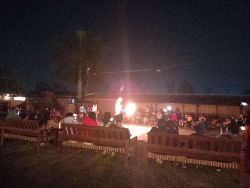 4-Day Chitwan Jungle Safari with Tower Night stay Tour - An In-Depth Look at the 4-Day Chitwan Safari