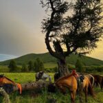 4-Day Horseback Adventure to Khagiin Khar Lake - Exploring the Itinerary in Detail