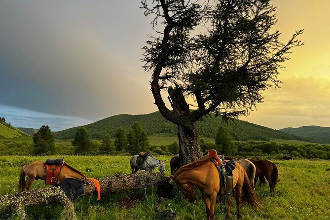 4-Day Horseback Adventure to Khagiin Khar Lake - Exploring the Itinerary in Detail