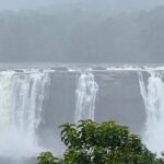 4 Day Kerala Tour Athirappilly Munnar Alleppey - Authentic Experiences and Reviewer Insights