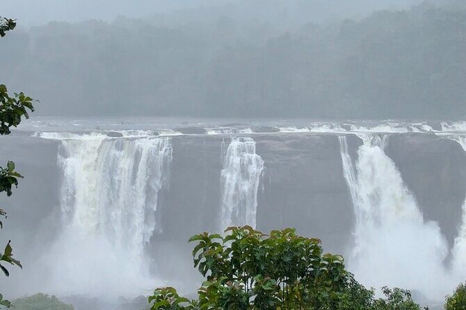 4 Day Kerala Tour Athirappilly Munnar Alleppey - Authentic Experiences and Reviewer Insights