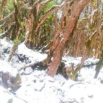 4 Day Mardi Himal Base Camp Trek from Pokhara - Food and Meals