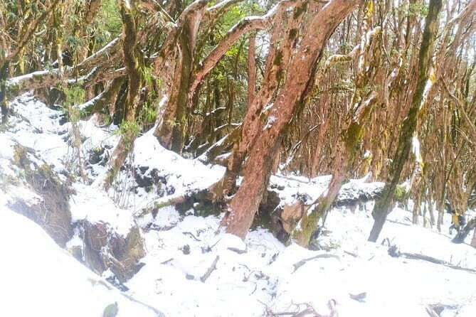 4 Day Mardi Himal Base Camp Trek from Pokhara - Food and Meals