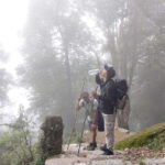 4 Day Mardi Himal Trek with 2 Day Chitwan Jungle Safari Tour - What Makes This Tour Stand Out?