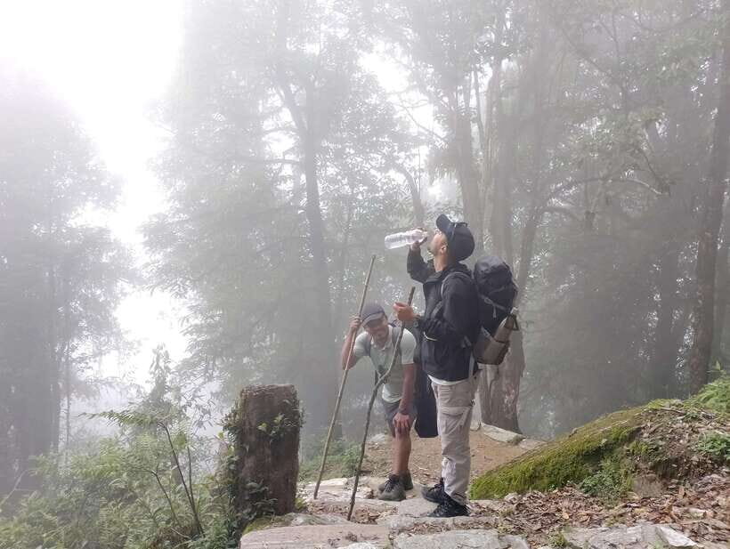 4 Day Mardi Himal Trek with 2 Day Chitwan Jungle Safari Tour - What Makes This Tour Stand Out?