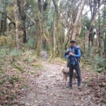 4-Day Mulde ,Poon Hill Trek Itinerary (Children-Friendly) - An Honest Look at the 4-Day Mulde, Poon Hill Trek