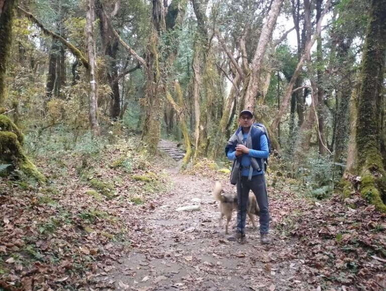 4-Day Mulde ,Poon Hill Trek Itinerary (Children-Friendly) - An Honest Look at the 4-Day Mulde, Poon Hill Trek